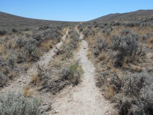 Ruts of the Oregon Trail
