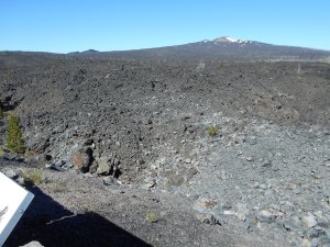 The Lava Fields at McKenzie Pass with Mt. Washington in the distance